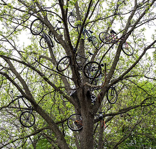 tree with cycles